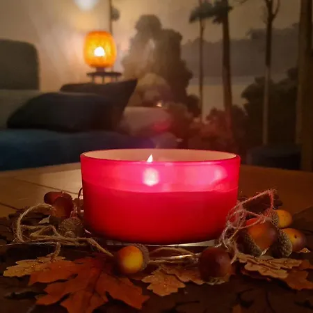 Domaine L'intemporel - 4 A 5 Entre Lille, Arras Et La Belgique * Chemy